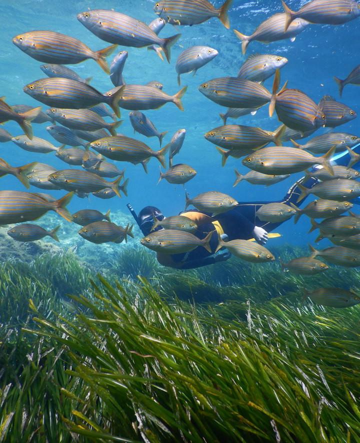 actividad de snorkeling en cabo de gata